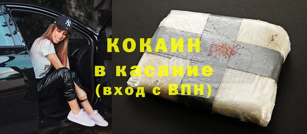прущие грибы Коряжма