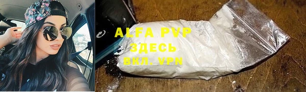 прущие грибы Коряжма