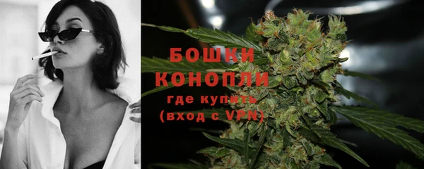 прущие грибы Коряжма