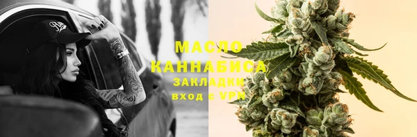 прущие грибы Коряжма