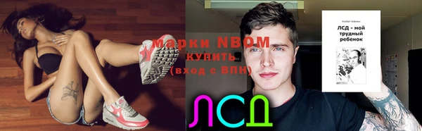 мдпв Козловка