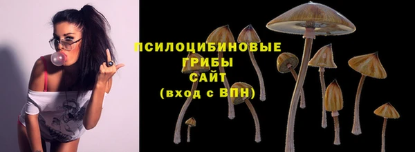гашик Кулебаки