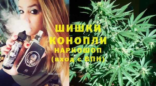 прущие грибы Коряжма