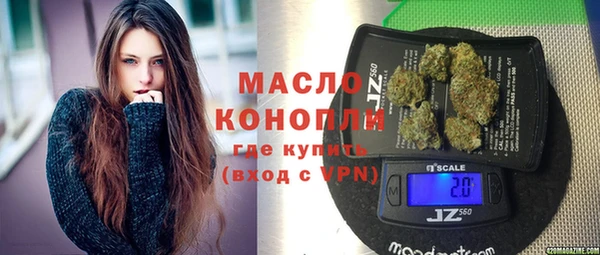 прущие грибы Коряжма