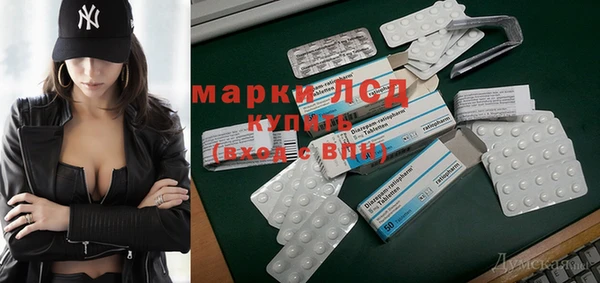 прущие грибы Коряжма