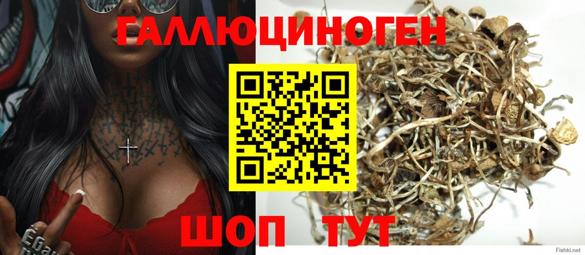 Галлюциногенные грибы прущие грибы  Вход с VPN  что такое   Кумертау 