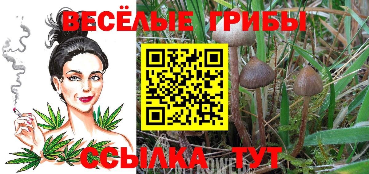 Галлюциногенные грибы мицелий Кумертау
